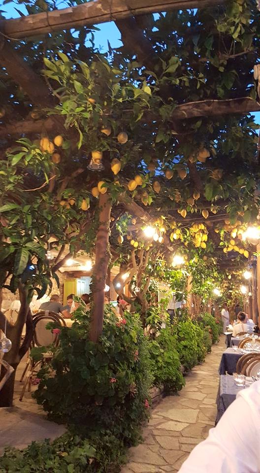 10424304_10206153344544703_5234099606959521547_n