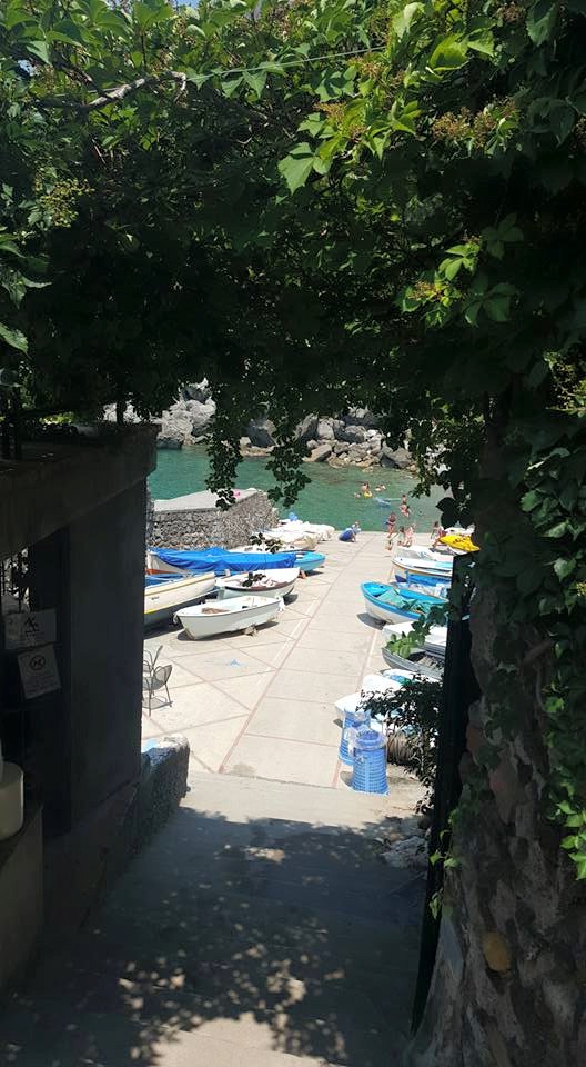 11040180_10206153355144968_3721359573634759345_n