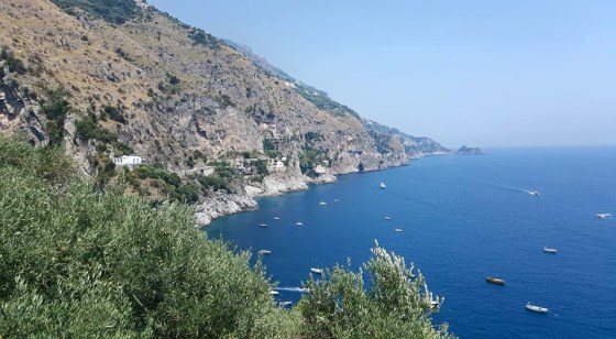 11141733_10206153331104367_2069782361731307929_n