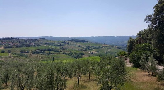 11143381_10206153296303497_3428228368236029999_n