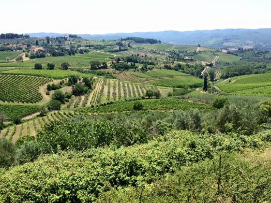 11698448_10204339160871477_1164990507857007789_n