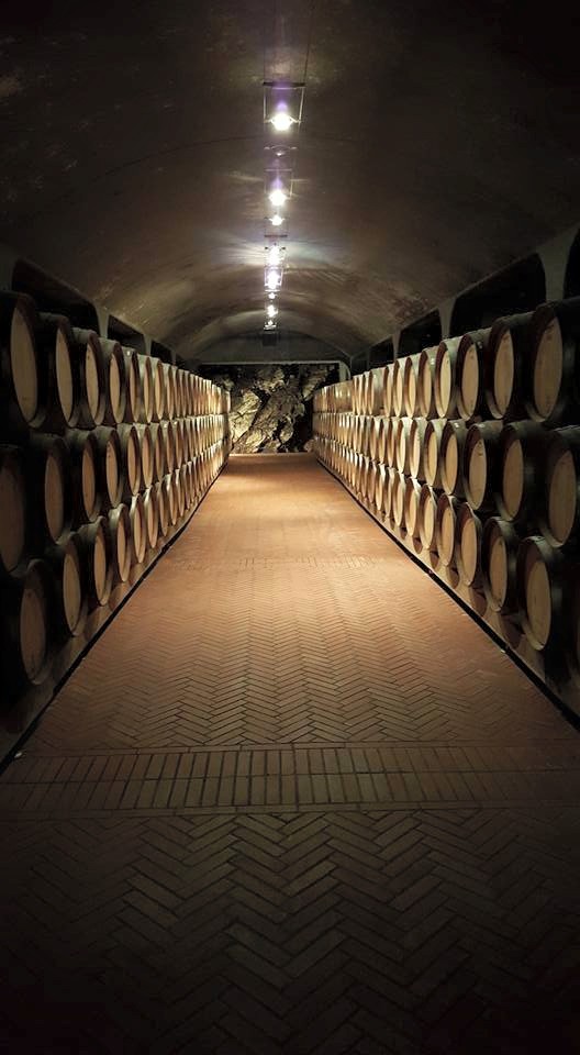 11742822_10206153256102492_7715759317624294175_n