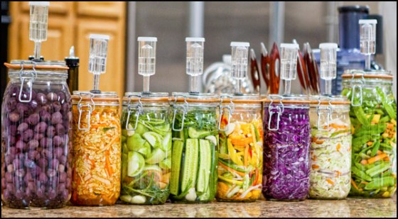 fermentation food jars