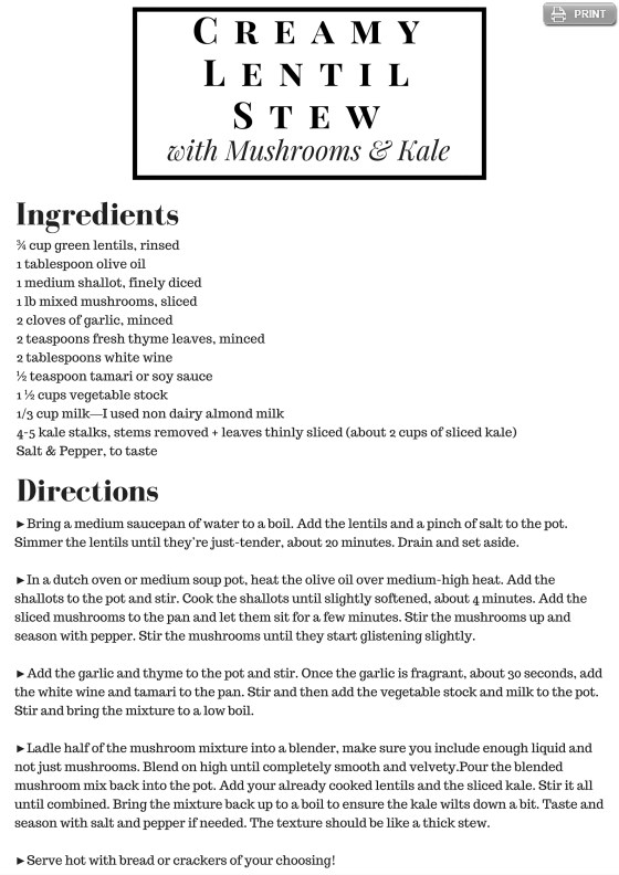 Creamy Lentil Stew Recipe